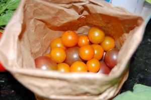 Sungolds