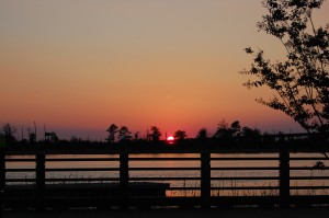 Cape fear at sunset